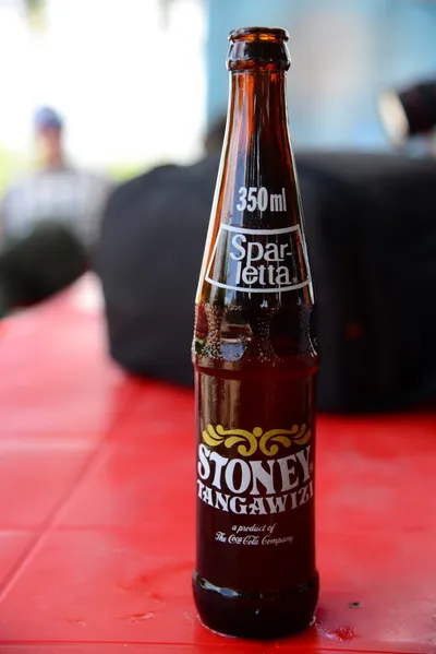 DSC_7668 (Large).JPG